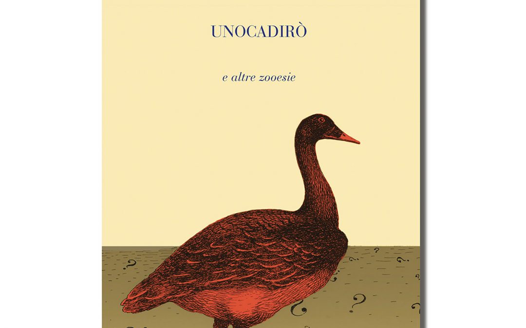 Unocadirò